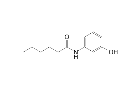 N-(3-Hydroxyphenyl)hexanamide