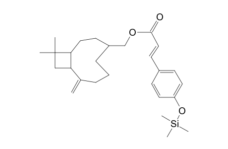 Caryophyllene <14-hydroxy-4,5-dihydro-.beta.-> p-coumarate, mono-TMS
