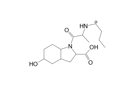 Perindopril-M (HO-aryl) MS3_1