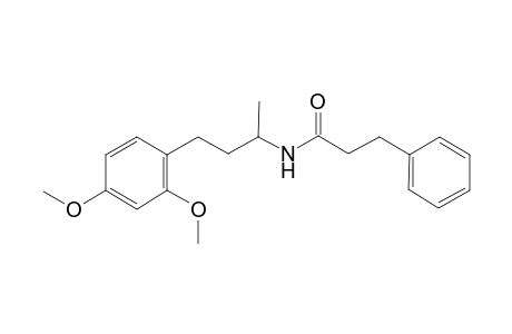 N-[3-(2,4-Dimethoxyphenyl)-1-methylpropyl]-3-phenylpropanamide