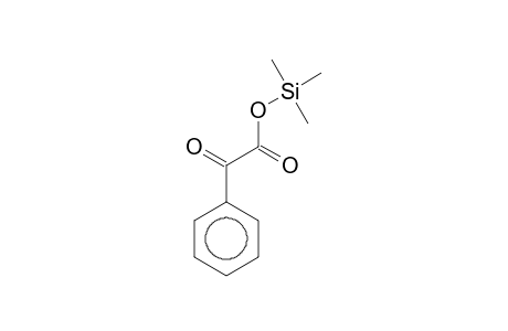 Benzeneacetic acid, .alpha.-oxo-, trimethylsilyl ester
