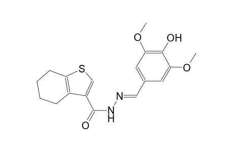 N'-[(E)-(4-hydroxy-3,5-dimethoxyphenyl)methylidene]-4,5,6,7-tetrahydro-1-benzothiophene-3-carbohydrazide