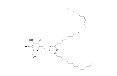 MGDG O-13:1_21:2