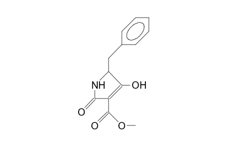 (5S)-5-Benzyl-3-methoxycarbonyl-2,4-dioxo-pyrrolidine