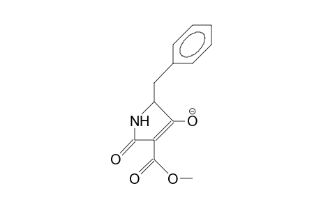 (5S)-5-Benzyl-3-methoxycarbonyl-2-oxo-3-pyrrolin-4-olate anion