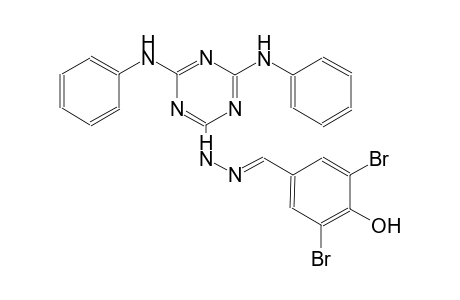 3,5-dibromo-4-hydroxybenzaldehyde (4,6-dianilino-1,3,5-triazin-2-yl)hydrazone