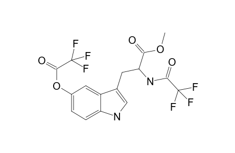 5-Hydroxytryptophan ME2TFA