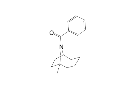 N-Benzoyl-1-methylene-9-azabicyclo[4.2.1]nonane