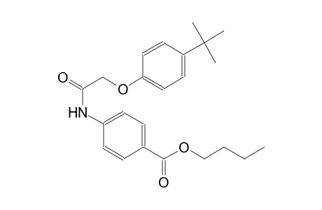 benzoic acid, 4-[[[4-(1,1-dimethylethyl)phenoxy]acetyl]amino]-, butyl ester