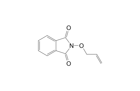 2-(allyloxy)-1H-isoindole-1,3(2H)-dione