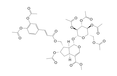 (E)-HEPTAACETYL-10-(3,4-DIHYDROXYCINNAMOYLOXY)-LOGANIN