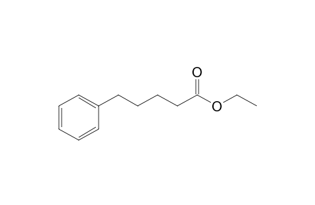 5-Phenylpentanoic acid ethyl ester