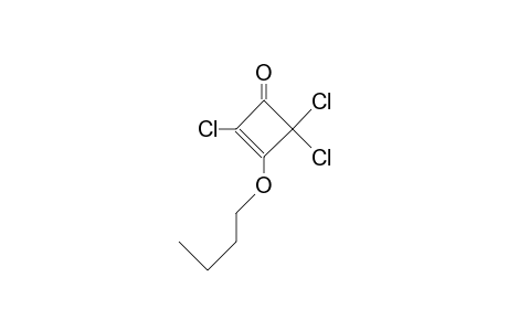 2,4,4-Trichloro-3-butoxy-cyclobut-2-en-1-one