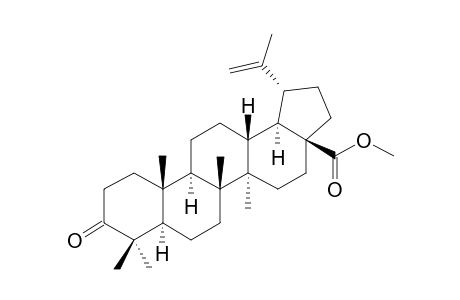 Betulonat