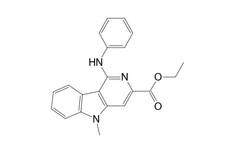 5H-Pyrido[4,3-b]indole-3-carboxylic acid, 5-methyl-1-(phenylamino)-, ethyl ester