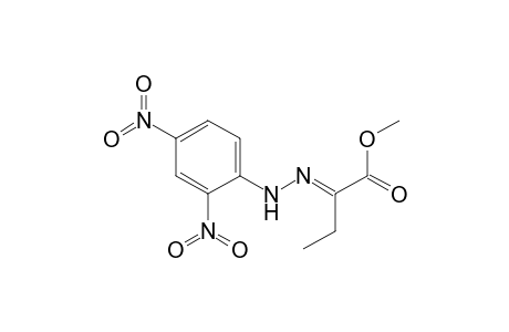 Methyl [2,4-dinitrophenylhydrazono] .alpha.-ketobutyrate