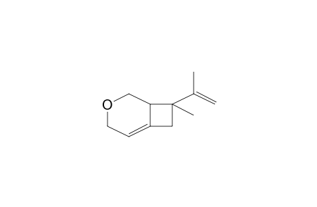 8-Isopropenyl-8-methyl-3-oxabicyclo[4.2.0]oct-5-ene