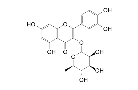 Quercetin-3-O-rhamnoside