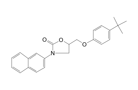 5-(p-Tert-butylphenoxymethyl)-3-(2-naphthyl)-2-oxazolidone