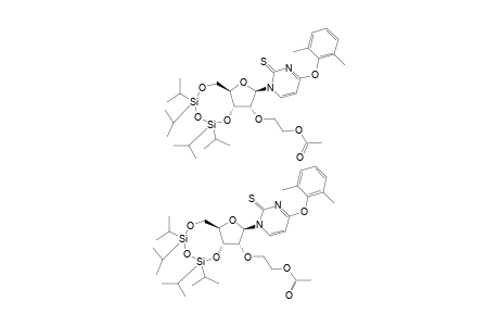 2'-O-ACETOXYETHYL-4-O-(2,6-DIMETHYLPHENYL)-3',5'-O-(1,1,3,3-TETRAISOPROPYLDISILOXANE-1,3-DIYL)-2-THIOURIDINE