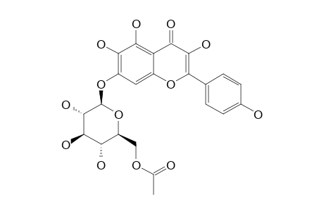 6-HYDROXYKAEMPFEROL-7-O-(6''-O-ACETYL-BETA-D-GLUCOPYRANOSIDE)