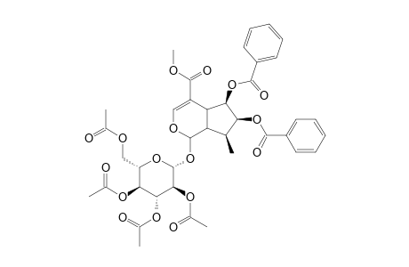 ABORSIDE-A-TETRAACETATE