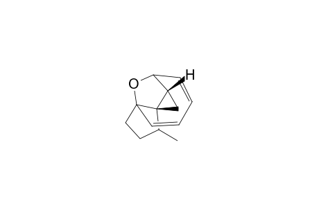 cis-11-methyl-3,8-oxomethano-bicyclo[6.3.0]undeca-4,6-diene