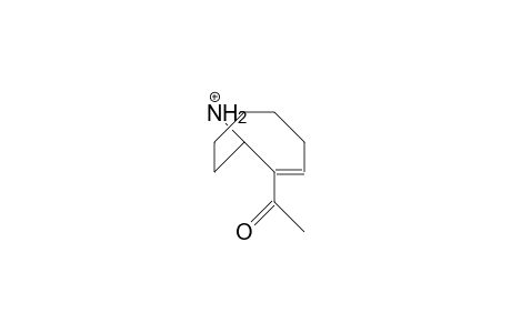 2-Acetyl-9-aza-bicyclo(4.2.1)non-2-ene-9-ammonium cation