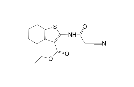 2-(2-cyano-acetylamino)-4,5,6,7-tetrahydrobenzo[b]thiophene-3-carboxylic acid ethyl ester