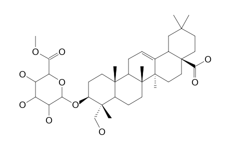 6'-O-Hn-saponin-K,methylester