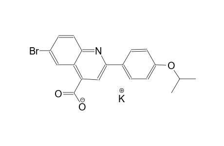 potassium 6-bromo-2-(4-isopropoxyphenyl)-4-quinolinecarboxylate