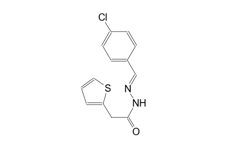 N'-[(E)-(4-chlorophenyl)methylidene]-2-(2-thienyl)acetohydrazide