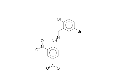 5-Bromo-3-tert-butylsalicylaldehyde 2,4-dinitrophenylhydrazone