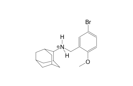 N-(5-bromo-2-methoxybenzyl)-2-adamantanaminium