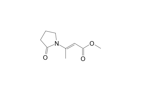 E-1-(2-Carbomethoxy-1-methylvinyl)pyrrolidin-2-one