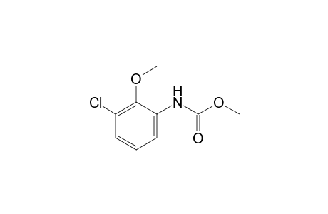 3-chloro-2-methoxycarbanilic acid, methyl ester