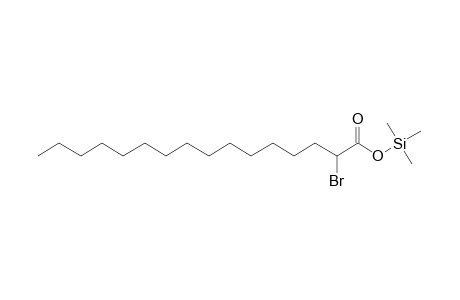 2-Bromohexadecanoic acid, tms derivative