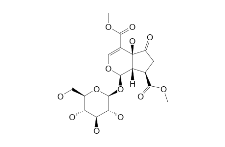10-METHOXYCARBONYL-HASTATOSIDE