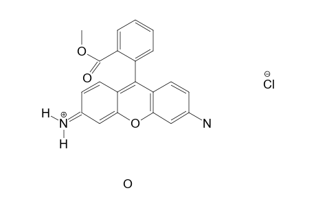 Rhodamine 123 hydrate