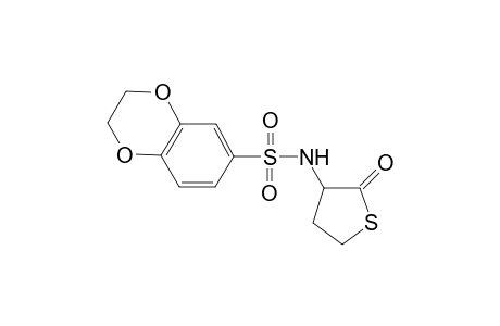 N-(2-oxothiolan-3-yl)-2,3-dihydro-1,4-benzodioxine-6-sulfonamide