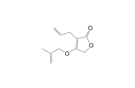 3-Allyl-4-(2-methylallyloxy)furan-2(5H)-one