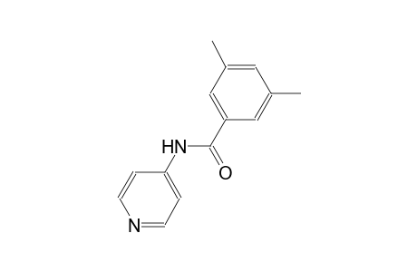 3,5-dimethyl-N-(4-pyridinyl)benzamide