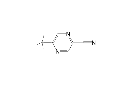 5-tert-Butyl-2-pyrazinecarbonitrile