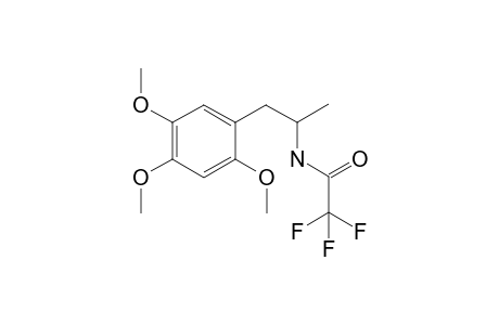 2,4,5-Trimethoxyamphetamine TFA