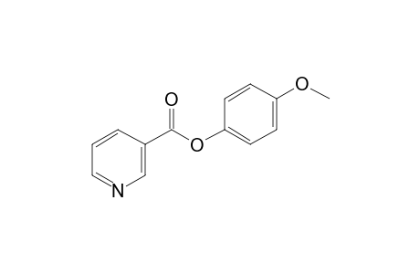 Nicotinic acid, 4-methoxyphenyl ester