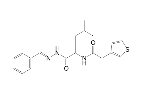 N-[(3-thienyl)acetyl]leucine, benzylidenehydrazide