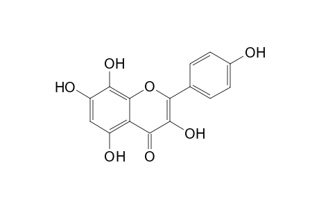 Aglicone-herbacetin