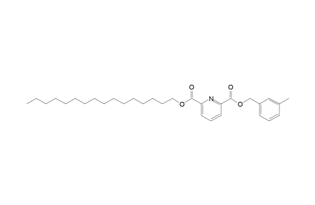 2,6-Pyridinedicarboxylic acid, 3-methylbenzyl hexadecyl ester