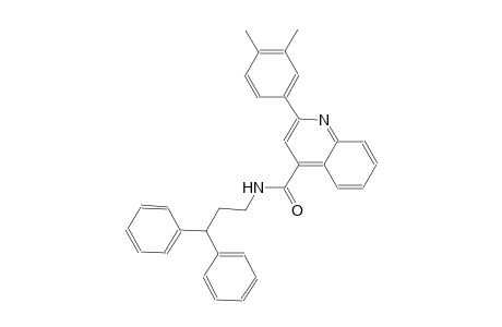 2-(3,4-dimethylphenyl)-N-(3,3-diphenylpropyl)-4-quinolinecarboxamide