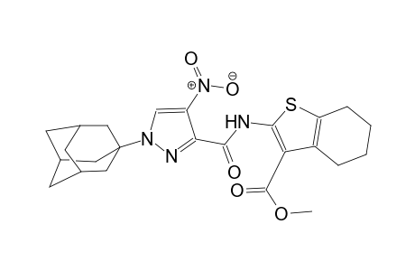 methyl 2-({[1-(1-adamantyl)-4-nitro-1H-pyrazol-3-yl]carbonyl}amino)-4,5,6,7-tetrahydro-1-benzothiophene-3-carboxylate